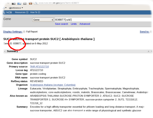 Screenshot of SUC2 page in NCBI Gene